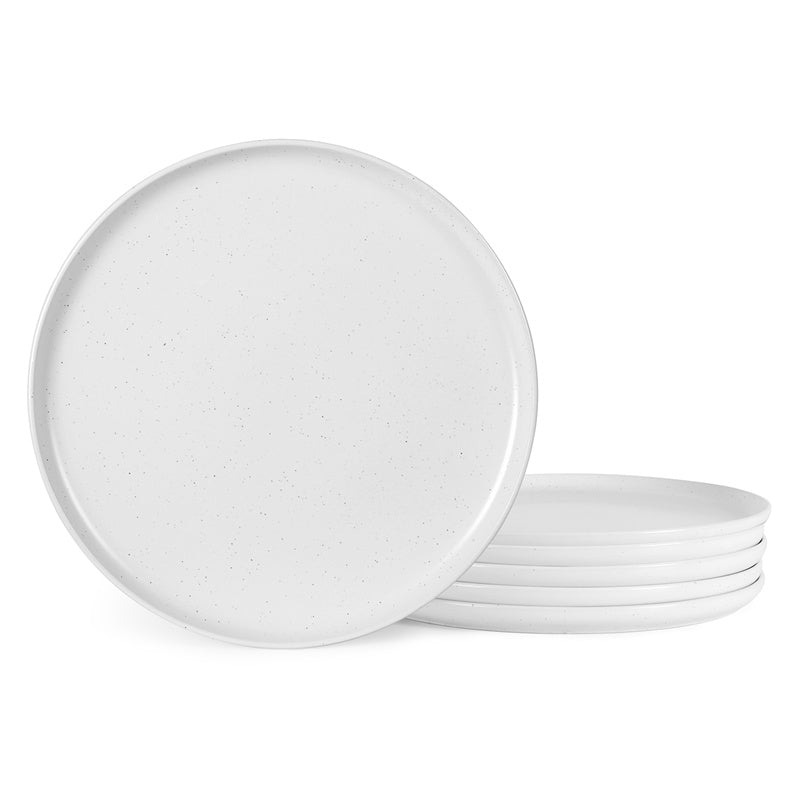 Steak Plates Set of 6 - Modern Dinner Plates for Steak, Pasta & Salad