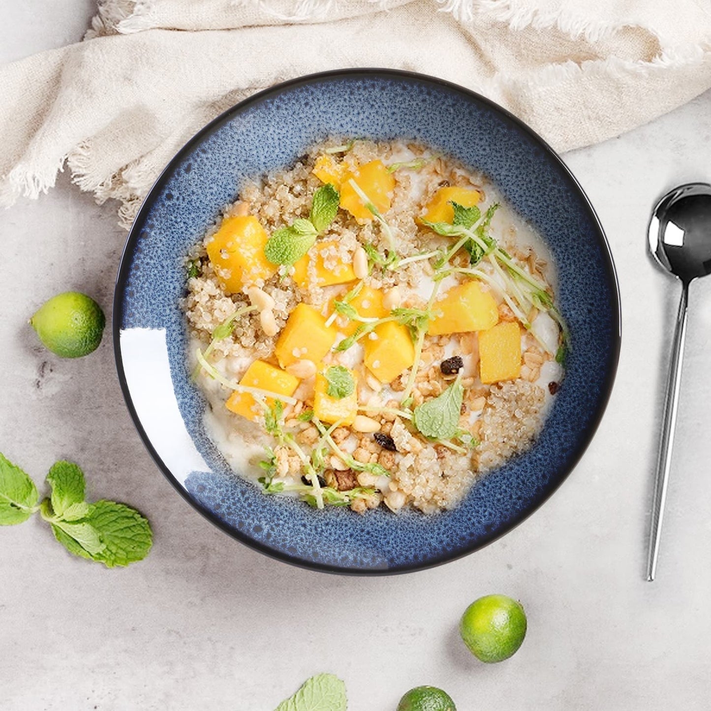 Ceramic Dinner Plates Set of 6 - Multi-Purpose Serving Plates for Steak, Pasta & Salad"