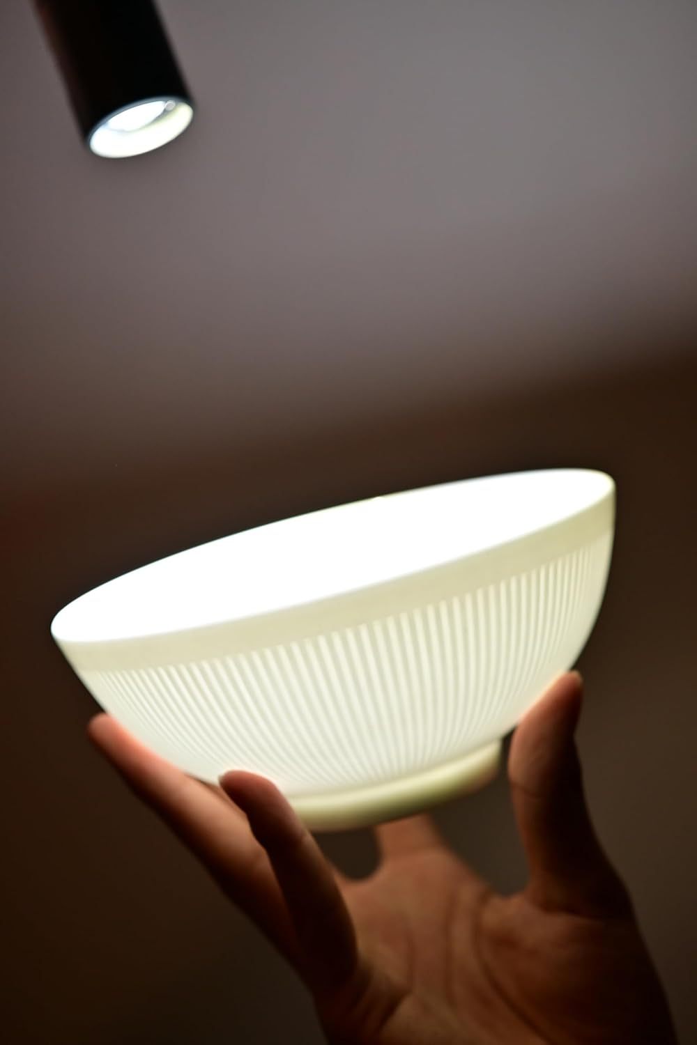 Dandilion Bone China Dinnerware Set - 16 Pieces Service for 4 (Ivory White)