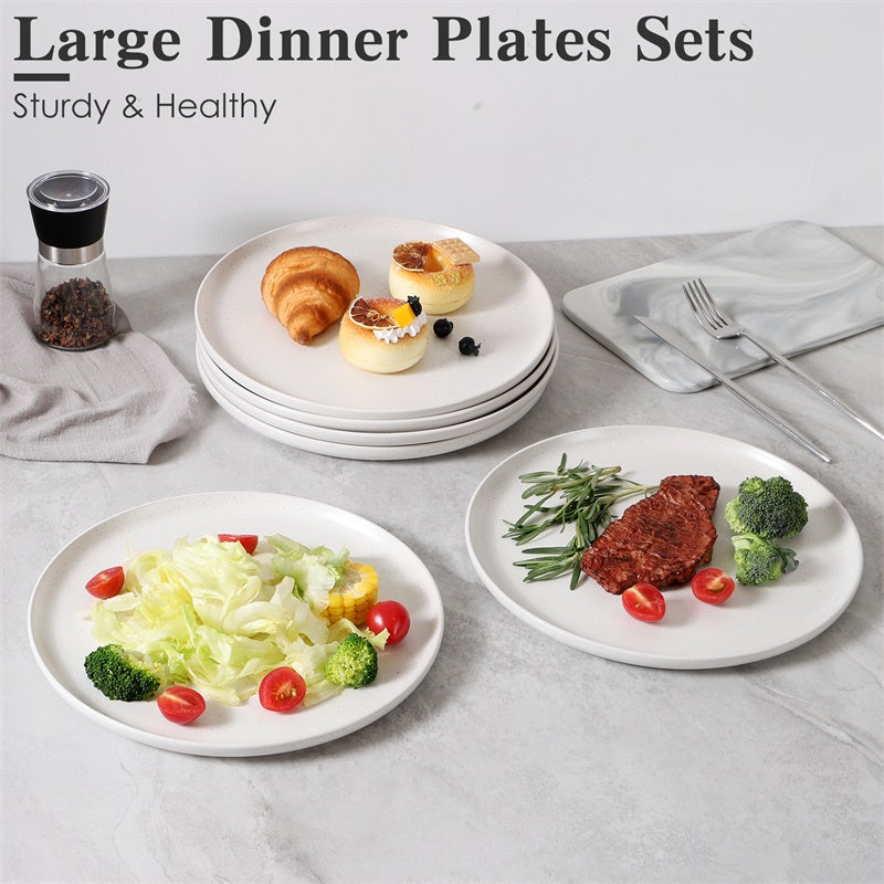 Steak Plates Set of 6 - Modern Dinner Plates for Steak, Pasta & Salad